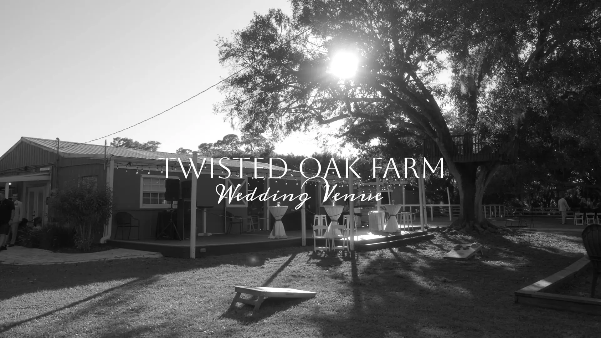 Twisted Oak Farm wedding venue beneath mature oak trees in Vero Beach